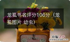 龙虱图片 幼虫 龙虱书名评分106分