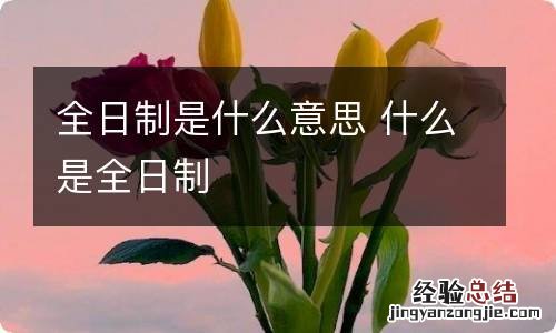 全日制是什么意思 什么是全日制