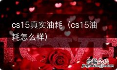 cs15油耗怎么样 cs15真实油耗