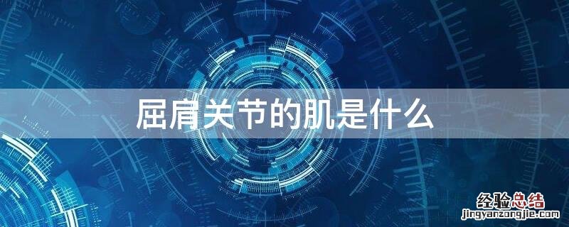 肩关节的屈肌有哪些 屈肩关节的肌是什么