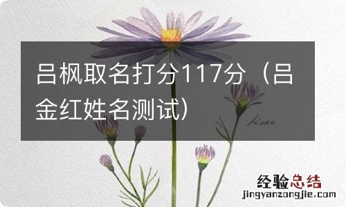 吕金红姓名测试 吕枫取名打分117分