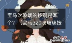 宝马320吹玻璃按键 宝马吹玻璃的按键是哪个？