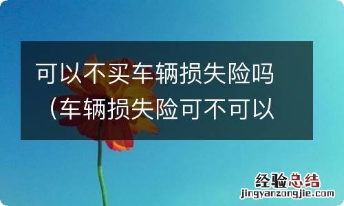 车辆损失险可不可以不买 可以不买车辆损失险吗