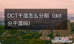 dct分干湿吗 DCT干湿怎么分别