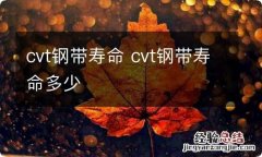 cvt钢带寿命 cvt钢带寿命多少