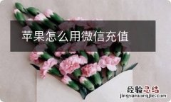 苹果怎么用微信充值