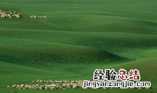 草原四大害是什么 草原四大害介绍