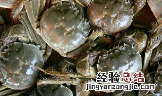 河蟹怎么存放 河蟹存放的方法