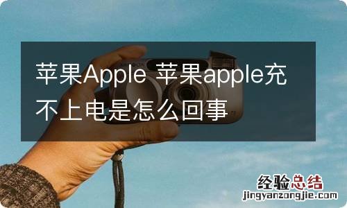 苹果Apple 苹果apple充不上电是怎么回事