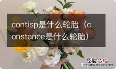 constance是什么轮胎 contisp是什么轮胎