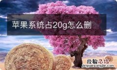 苹果系统占20g怎么删