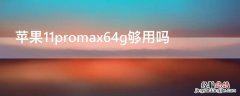 iPhone11promax64g够用吗