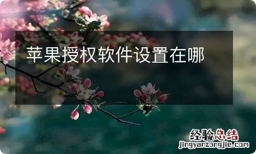 苹果授权软件设置在哪