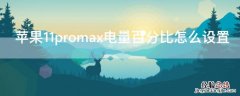 iPhone11promax电量百分比怎么设置