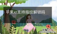 苹果xr支持指纹解锁吗