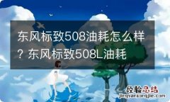 东风标致508油耗怎么样? 东风标致508L油耗