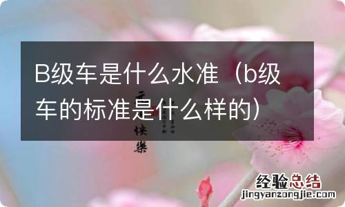 b级车的标准是什么样的 B级车是什么水准