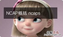 NCAP概括 ncaps