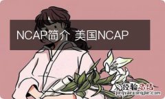 NCAP简介 美国NCAP