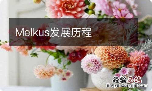 Melkus发展历程