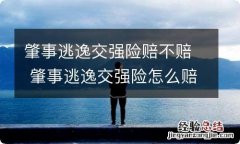 肇事逃逸交强险赔不赔 肇事逃逸交强险怎么赔