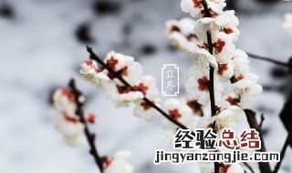 立冬短信问候语 立冬祝福语简短一句话