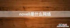 novell是什么网络 Novell网的特点