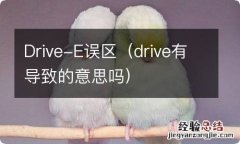 drive有导致的意思吗 Drive-E误区