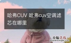 哈弗CUV 哈弗cuv空调滤芯在哪里