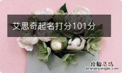 艾思奇起名打分101分