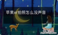 苹果xr拍照怎么没声音