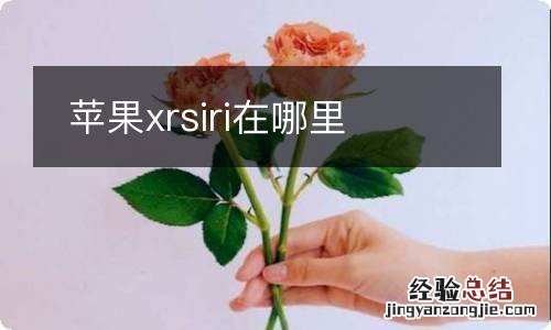 苹果xrsiri在哪里