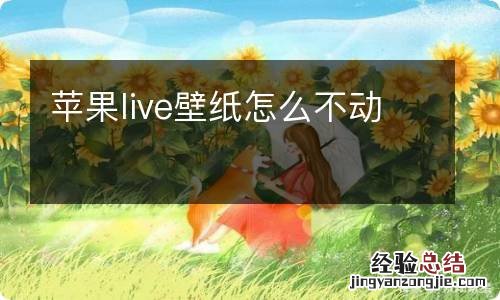 苹果live壁纸怎么不动