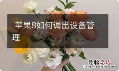 苹果8如何调出设备管理