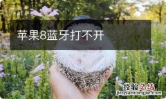 苹果8蓝牙打不开