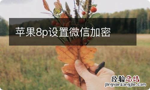 苹果8p设置微信加密