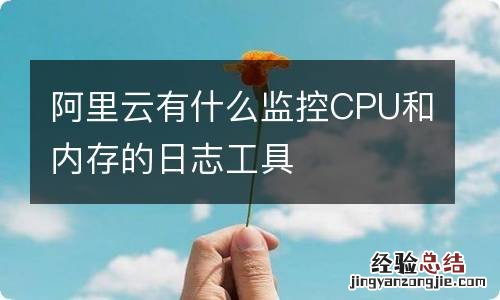 阿里云有什么监控CPU和内存的日志工具