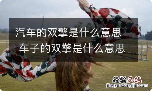 汽车的双擎是什么意思 车子的双擎是什么意思