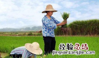 村股份制改革是什么意思 村股改是什么意思啊