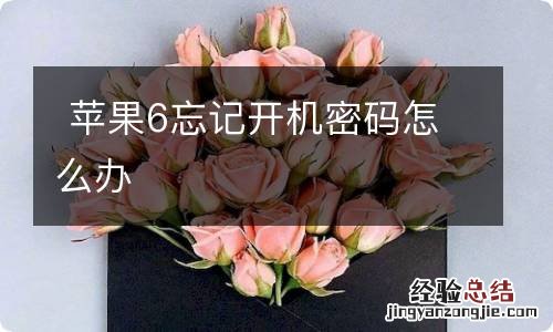 苹果6忘记开机密码怎么办