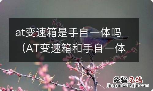 AT变速箱和手自一体 at变速箱是手自一体吗