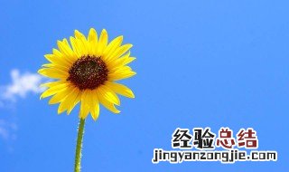 自我修养的唯美句子 关于自我修养的唯美句子