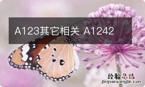 A123其它相关 A1242