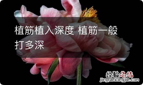 植筋植入深度 植筋一般打多深