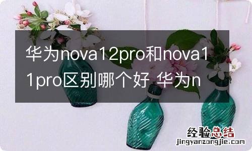 华为nova12pro和nova11pro区别哪个好 华为nova和华为novapro哪个好