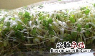 种豆芽的方法 豆芽怎么种呢