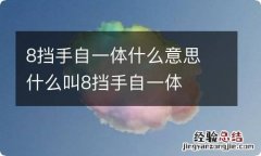 8挡手自一体什么意思 什么叫8挡手自一体