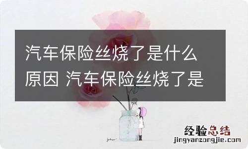 汽车保险丝烧了是什么原因 汽车保险丝烧了是什么样子