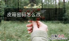 皮箱密码怎么改