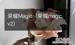 荣耀magicv2 荣耀Magic